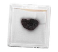 HEMOTON Rare Glass Meteorite Specimen Stone Rough Raw Space Rock Collection for Science Fans Educational Display Unique Natural Rock