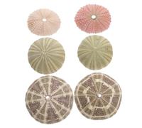 HEMOTON Sea Urchin Random Color for Sea-themed Crafts and Home Decoration 6pcs Synthetic Material Air Plant Planter, Creative Assorted Color Nautical Plant Pots