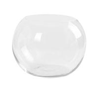 HEMOTON Transparent Glass Flower Vase 5.91In Hydroponics Plant Holder Creative Desktop Fish Bowl Ornament for Home Office Hotel Decoration