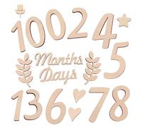 HEMOTON Wooden Moon Sign Numbers and Blocks for Birth Announcement Progress Discs for Shower Photo Props