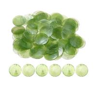 Hemousy Round Shell Pieces | Pendant Making - Natural Sea Shell Charm - for Hobbyists Beginners Adults Girls Art Students Professionals Artists Party Home Craft Room Studio Workshop