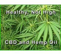 Hemp Health Effects Introduction