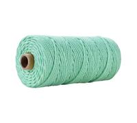 Hemp Rope Braided Rope, 100M/Roll Natural Macrame Cord 3mm Colored Rope Cotton Yarn Craft For Wall Hanging DIY Knitting(20 Light Green)
