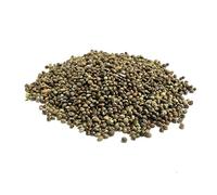 Hemp Seed 200g Quality Fishing Bait and Bird Seed SLW