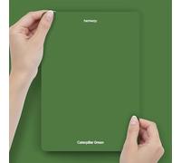 Hemway Caterpillar Green Peel & Stick Sample Chalk Paint, A5 Swatch | Accurate Colour, Mess-Free Alternative to Paint Tester Pots, Easy To Use, Eco-friendly, for Interior Furniture & Walls