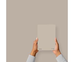Hemway Latte Brown Peel & Stick Sample Interior Paint, A5 Swatch | Accurate Colour, Mess-Free Alternative to Paint Tester Pots, Easy To Use, Eco-friendly, for Kitchen Bathroom Living Room