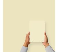 Hemway Lemon Chiffon Yellow Peel & Stick Sample Interior Paint | A5 Accurate Colour Swatch, Mess-Free Alternative to Paint Tester Pots, Easy To Use, Eco-friendly, for Kitchen Bathroom Living Room