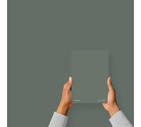 Hemway Smoked Moss Green Peel & Stick Sample Interior Paint | A5 Accurate Colour Swatch, Mess-Free Alternative to Paint Tester Pots, Easy To Use, Eco-friendly, for Kitchen Bathroom Living Room