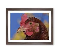Hen Chicken No.1 Modern Framed Print | A3 Walnut Framed Wall Art | Ready to Hang | Modern Animal Picture | Living Room Bedroom Lounge Office