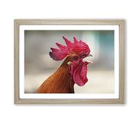 Hen Chicken No.2 Modern Framed Print | A3 Oak Framed Wall Art | Ready to Hang | Modern Animal Picture | Living Room Bedroom Lounge Office