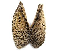 Hen Pheasant Wings, Fly Tying Feathers, Fly Tying, For Making Trout Flies