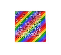 HENBRANDT Rainbow Paisley Print Bandana for Men and Women Head Covering Neckerchief Scarf Headband Neck Warmer Face Cover Hair Bandana Gay Pride Bandana LGBTQ Clothes Pride Accessories