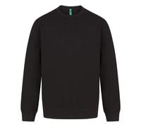 Henbury Unisex Adult Sustainable Sweatshirt RW8419