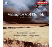 Heneghan Lawson VI - Walking The Wild Rhondda (Heneghan And Lawson Virtual Orch.)