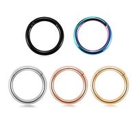 hengkaixuan 12G Hypoallergenic Nose Rings Clicker Segment Seamless Hoop Nose Ring Septum Ring Unisex Hoop Earrings 316l Surgical Steel Piercing 5 Pcs (12g Inner Diameter 14mm)