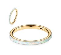 hengkaixuan 16G Conch Hoop Ring Septum Jewellery Seamless Clicker Ring Daith Earrings Surgical Steel Rook Tragus Conch Piercing Jewellery Small Hoop Earring Nose Ring Gold 8mm White Opal