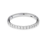 hengkaixuan 16G CZ Nose Rings Septum Clicker G23 Titanium Segment Helix Cartilage Earrings Hoop Daith Piercing Jewellery
