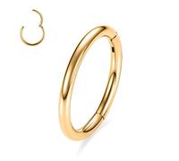 hengkaixuan 16G Nose Rings 316L Surgical Steel Seamless Segment Clicker Hoop Nose Ring Septum Tragus Cartilage Helix Daith Conch Hoop Lip Earrings Piercing Jewellery 5mm Gold