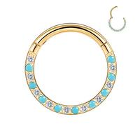 hengkaixuan 16G Septum Clicker Ring Conch Piercing 316L Surgical Steel CZ Turquoise Seamless Hinged Segment Clicker Ring Silver Hoop Nose Ear Helix Lobe Rook Piercing 10mm