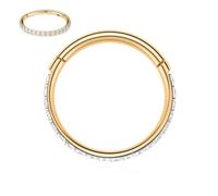 hengkaixuan 16G Septum Clicker Ring Daith Earrings Conch Jewellery Seamless Clicker Ring Surgical Steel Rook Tragus Conch Piercing Jewellery Small Hoop Earring Nose Ring Gold 14mm Clear CZ