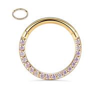 hengkaixuan 16G Septum Jewellery Daith Clicker Ring Conch Hoop Seamless Clicker Ring Surgical Steel Rook Tragus Conch Piercing Jewellery Small Hoop Earring Nose Ring Hoop Gold 8mm Pink AB CZ