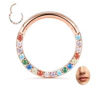 hengkaixuan 16G Septum Jewellery Daith Clicker Ring Conch Hoop Seamless Clicker Ring Surgical Steel Rook Tragus Conch Piercing Jewellery Small Hoop Earring Nose Ring Hoop Rose Gold 10mm Rainbow CZ