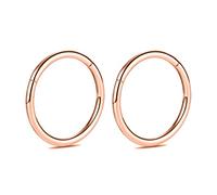 hengkaixuan 2Pcs 6mm Titanium 14G Hinged Segment Earrings Cartilage Helix Lip Tragus Nose Ring Hoop Sleeper Body Piercing