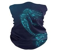 hengpai Neck Gaiter Women Face Scarf Mask-Dust, Balaclava Face Mask Bandana Mermaid Triangle Myth Creature Fairy Fantasy Mystic