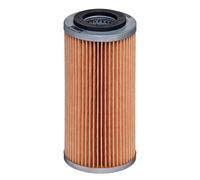 Oil filter Filter Insert E1055H D609 HENGST FILTER