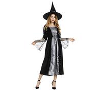 Hengzhifeng Witch Costume for Women Long Sorceress Classic Dress Cosplay Halloween Outfit (Large, silver)