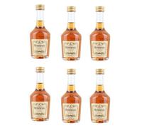Hennessy VS Cognac 50ml Pack of 6 | Miniature Alcohol | All Occasion Gift