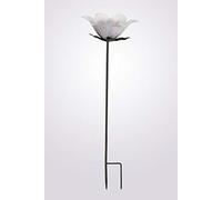 Henry Bell Décorative Lily Feeder clear