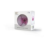 Henry Bell Décorative Magnolia Feeder, clear