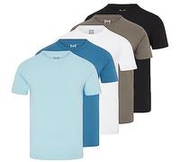 Henry Hogan 5 Pack Plain Crew Neck T-Shirt (as8, Alpha, l, Regular, Regular, Summer Classic)