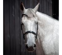 Henry James Saddlery Cavesson Bridle - Horse Bridles - Black - Size: Full
