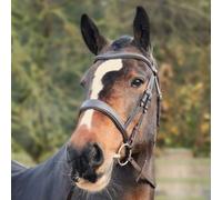 Henry James Saddlery Cavesson Bridle - Horse Bridles - Havana - Size: Extra Full