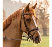 Henry James Saddlery Comfort Flash (Detachable) Bridle - Havana - Size: Pony