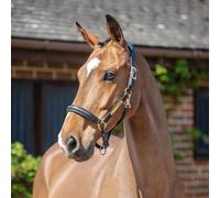 Henry James Saddlery Ergonomic Headcollar - Black - Size: Cob