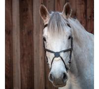Henry James Saddlery Sheepskin Grackle Bridle - Havana - Size: Full