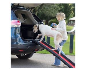 Henry Wag Lightweight Folding Pet Ramp | Dogs