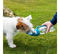 Henry Wag Grey Water Bottle w/ Leaf Bowl, Grey