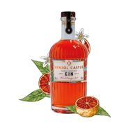 Hensol Castle Blood Orange Zest Gin 40% ABV, 70 lavoured Citrus Gin | Award-Winning Signature Welsh Dry Gin with Blood Orange Peel, Floral & Juniper Notes - Zesty Gin Spirit, Perfect for G&T