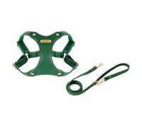 HENYGEN Dog Harness with Leash Tacticals Pet Vest Waterproof Pet Chest Outdoor Walk Training for Puppies Soft Leather Leash for Small Dogs for Walking