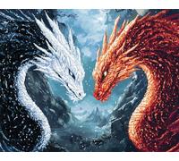 Henypt 11Ct DIY Counted Cross Stitch Kits for Adults Black Dragon and White Dragon Embroidery Cross Stitch Kits Stamped Pattern Starter Set Needlework Art Accessories Wall Decoration Adult Craft Ki