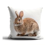 Henypt 9CT Cross Stitch Pillow Cover Kit Rabbit Portrait Animal Needlepoint Craft Set Pre Printed Handmade Cushions Cover Stitched Cushion Kit Decorative for Adults Beginners 45x45cm