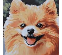 Henypt 9CT Cross Stitch Pillow Kits Cartoon Pomeranian Animal Needlepoint Craft Set Pre Printed Handmade Cushions Cover Stitched Cushion Kit Decorative for Adults Beginners 50x50cm