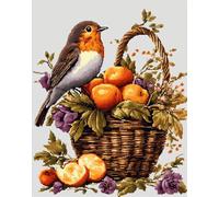 Henypt Bead Embroidery Cross Stitch Kit Robin Bird -9Ct DIY Craft Set with Beads, Pre-Printed Fabric & Needle, Handmade Embroidery Kit for Adults, Beginners & Home Décor