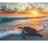Henypt Bead Embroidery DIY Kitturtles On The Beach -9Ct Cross Stitch Beads On Pre-Printed Fabric, Complete Needlework Craft Set for Adults, Beginners & Unique Handmade Gifts