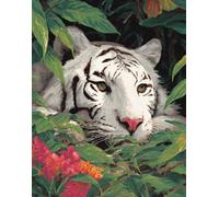 Henypt Bead Embroidery Kit 9Ct White Tiger Face - 40X50Cm DIY Cross Stitch with Beads, Pre-Printed Fabric, Embroidery Set with Beads & Needle, Craft Kit for Adults & Beginners (No Frame)