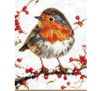 Henypt Bead Embroidery Kit Robin DIY Embroidery Set Bead Cross Stitch Kit for Beginners Hobby Craft Kit Handmade Embroidery Gift